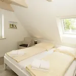 Austernfischer Apartment Wyk auf Föhr