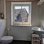 Austernfischer * Wyk auf Föhr
